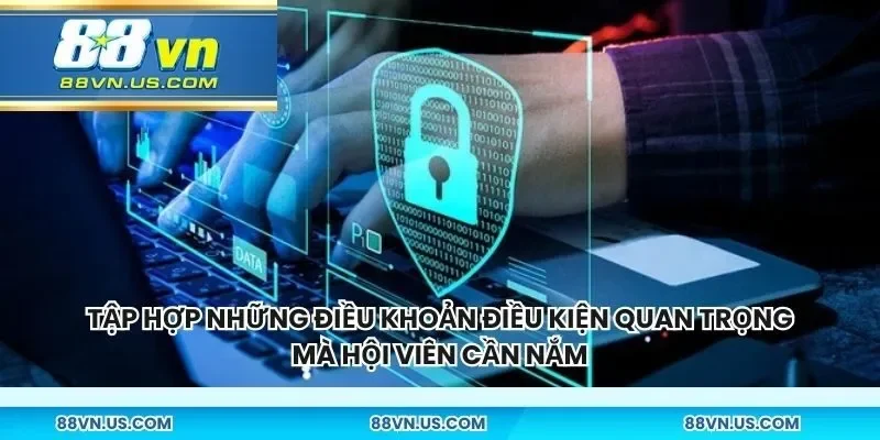 Tập hợp những điều khoản điều kiện quan trọng mà hội viên cần nắm