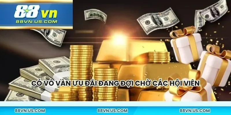 Có vô vàn ưu đãi đang đợi chờ các hội viên rinh thưởng